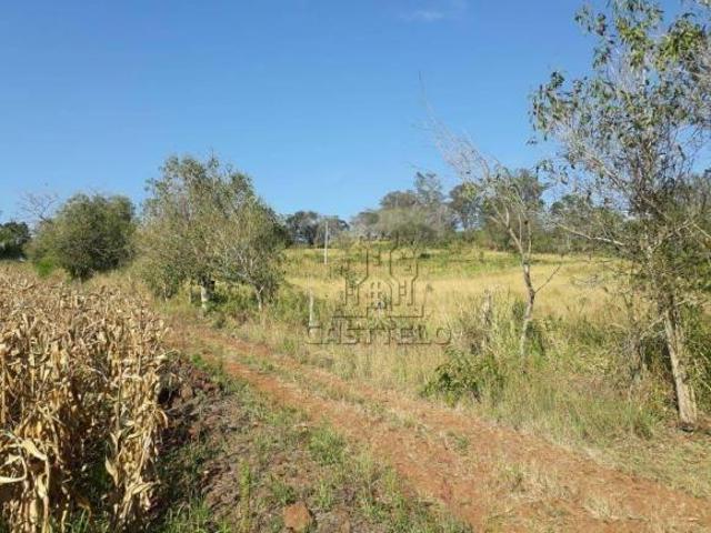 Sítio e chácara venda em Região Geográfica Imediata de Londrina, Londrina