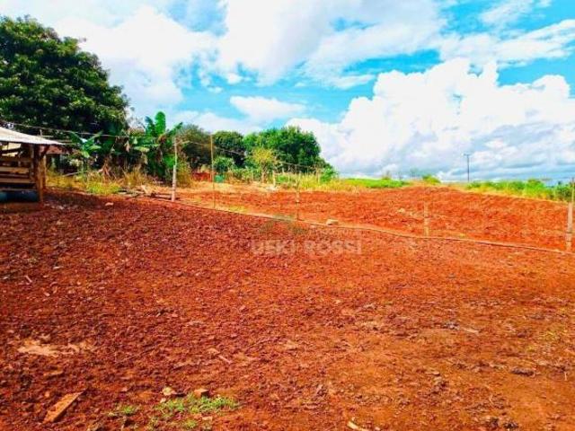 Sítio e chácara venda em Região Geográfica Imediata de Londrina, Londrina