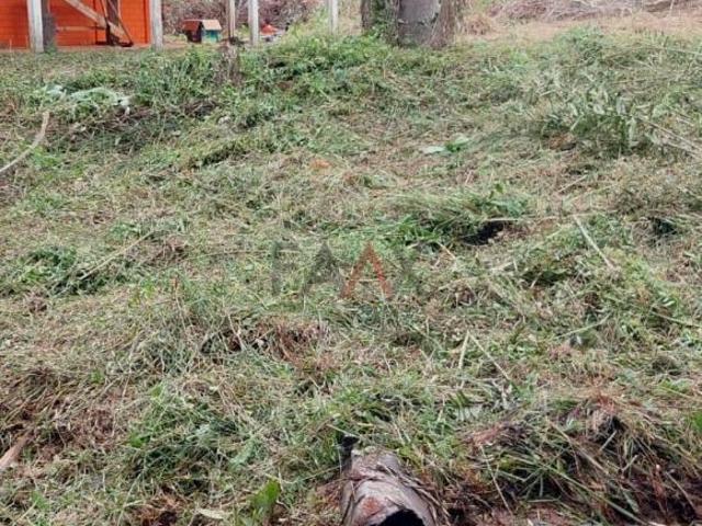 Sítio e chácara venda em Região Geográfica Imediata de Guarapuava, Guarapuava