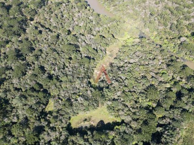Sítio e chácara venda em Guarapuava, Região Geográfica Intermediária de Guarapuava