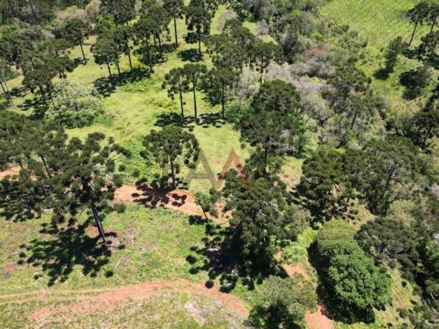 Sítio e chácara venda em Região Geográfica Imediata de Guarapuava, Guarapuava