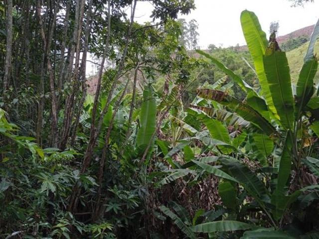 Sítio e chácara venda em Região Imediata de Guaratinguetá, Região Metropolitana do Vale do Paraíba e Litoral Norte