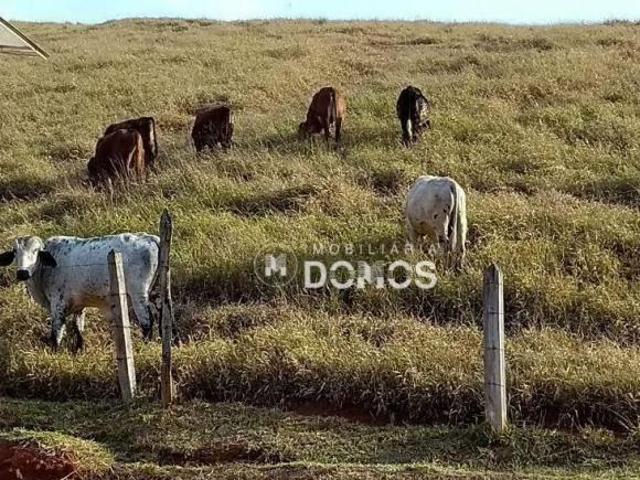 Sítio e chácara venda em Região Imediata de Guaratinguetá, Região Metropolitana do Vale do Paraíba e Litoral Norte