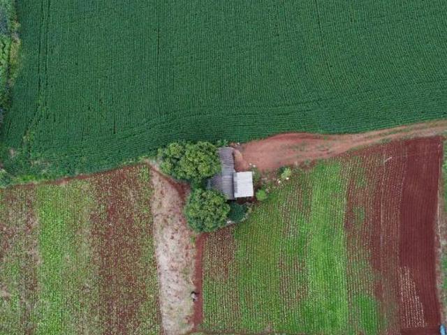 Sítio e chácara venda em Região Geográfica Imediata de Londrina, Ibiporã