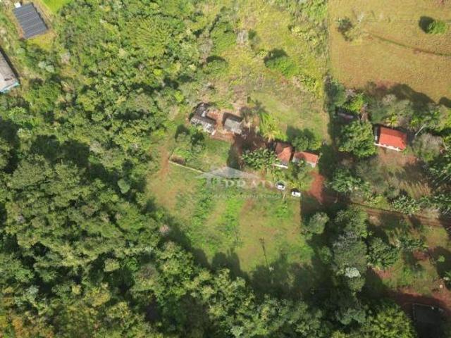 Sítio e chácara venda em Região Geográfica Imediata de Londrina, Ibiporã