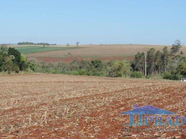 Sítio e chácara venda em Região Geográfica Imediata de Londrina, Ibiporã