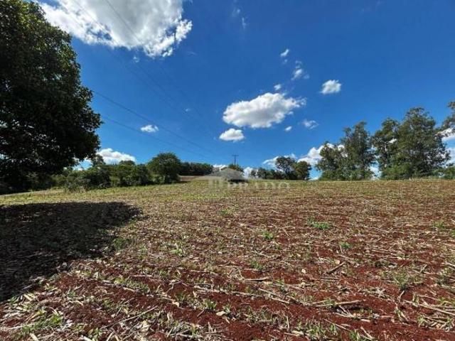 Sítio e chácara venda em Região Geográfica Imediata de Londrina, Ibiporã