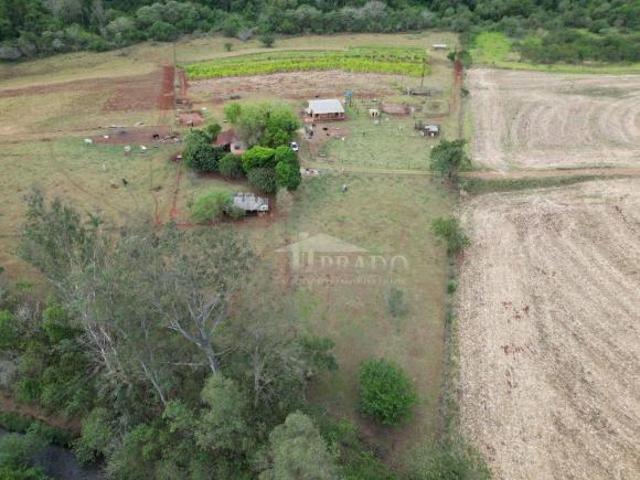 Sítio e chácara venda em Região Geográfica Imediata de Londrina, Ibiporã