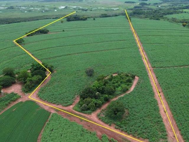 Sítio e chácara venda em Ibitinga