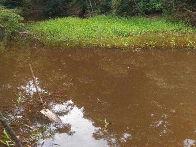 Sítio e chácara venda em Região Geográfica Imediata de Três Pontas - Boa Esperança, Ilicínea