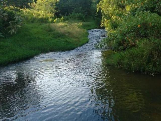 Sítio e chácara venda em Ipeúna
