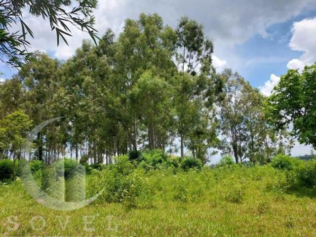 Sítio e chácara venda em Região Imediata de Rio Claro, Região Metropolitana de Piracicaba