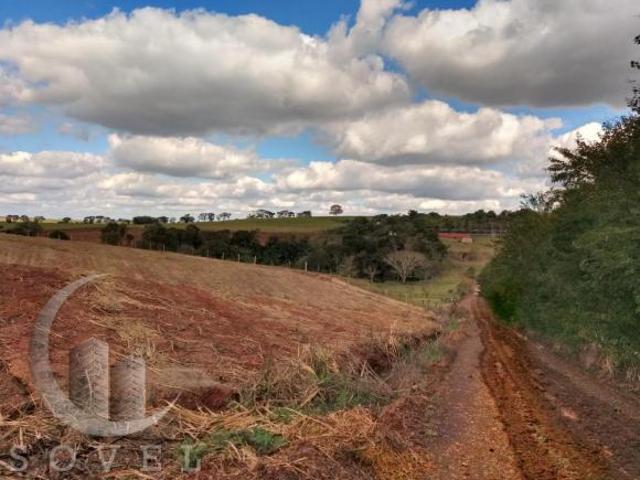 Sítio e chácara venda em Região Imediata de Rio Claro, Região Metropolitana de Piracicaba