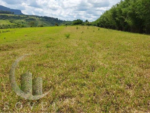 Sítio e chácara venda em Ipeúna, Região Geográfica Intermediária de Campinas