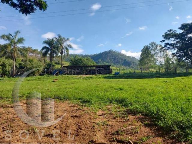 Sítio e chácara venda em Região Imediata de Rio Claro, Região Metropolitana de Piracicaba