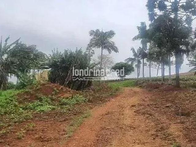 Sítio e chácara venda em Taquaruna, Londrina