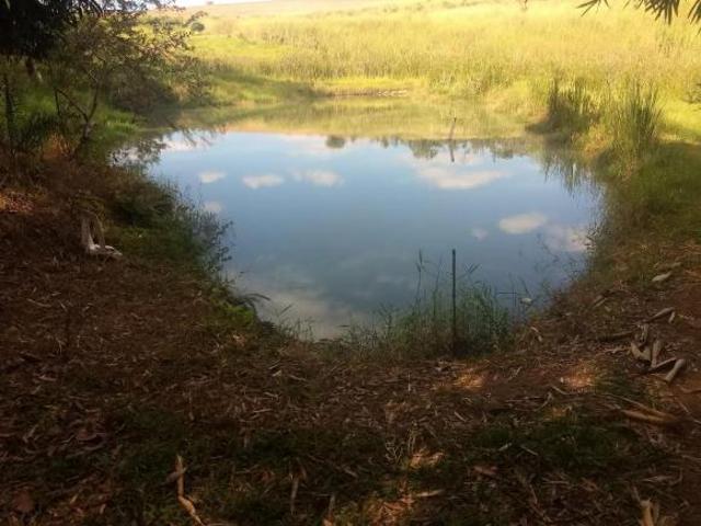 Sítio e chácara venda em Região Imediata de Campinas, Região Metropolitana de Campinas