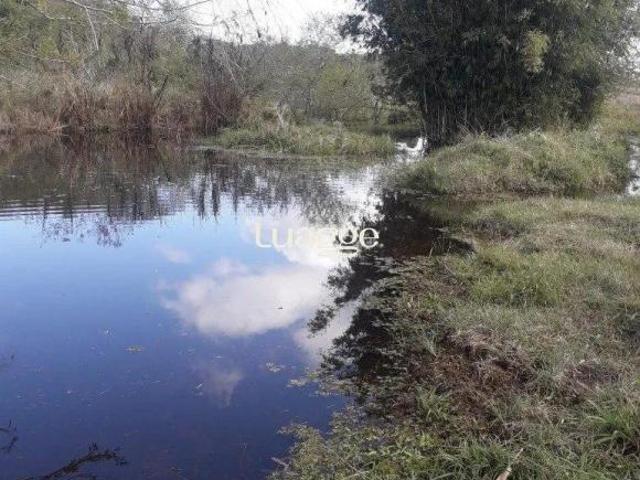 Sítio e chácara venda em Itapuã, Viamão