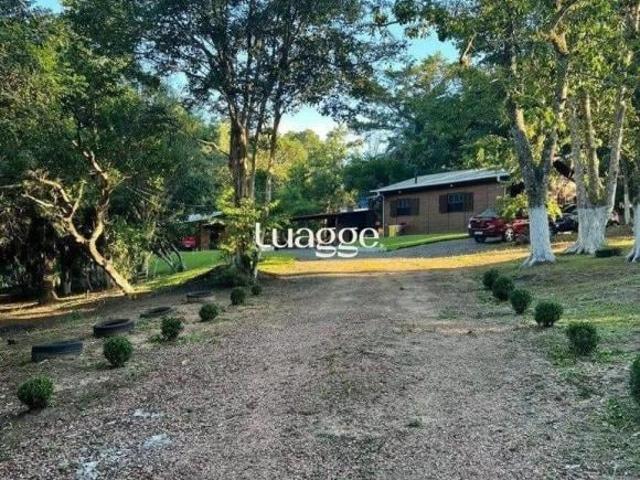 Sítio e chácara venda em Setembrina, Viamão