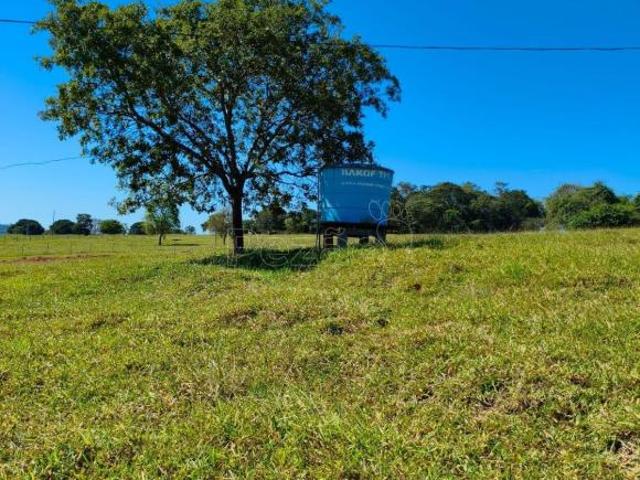 Sítio e chácara venda em Itapuranga, Região Geográfica Intermediária de Goiânia