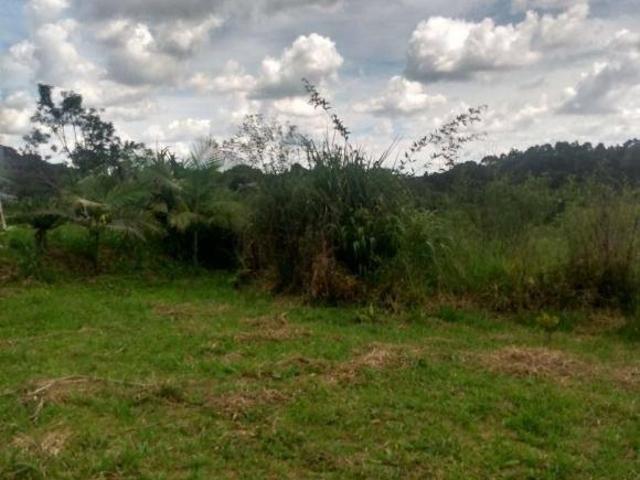 Sítio e chácara venda em Itapecerica da Serra