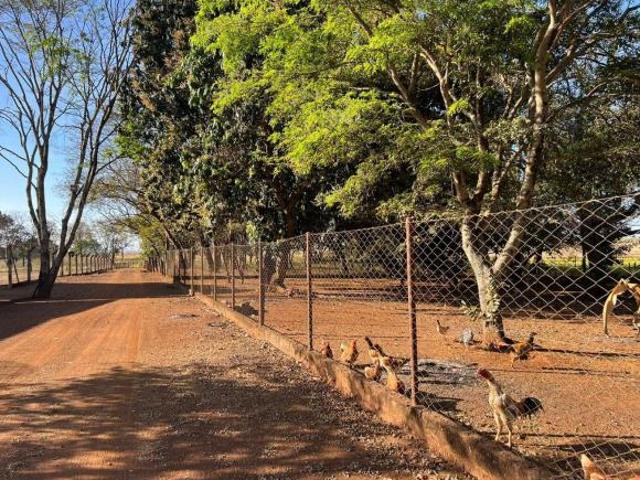 Sítio e chácara venda em Região Geográfica Imediata de Itumbiara, Itumbiara