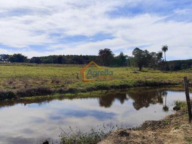 Sítio e chácara venda em Estiva Gerbi