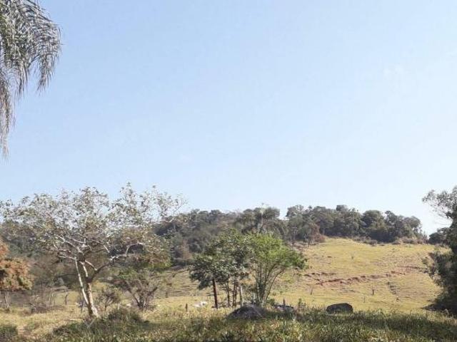 Sítio e chácara venda em Região Imediata de Amparo, Amparo