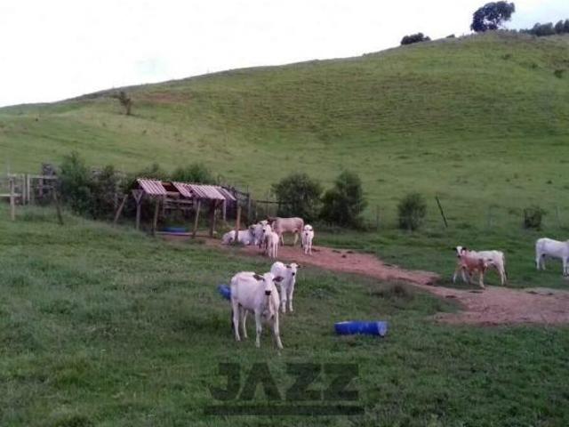 Sítio e chácara venda em Região Geográfica Imediata de Pouso Alegre, Espírito Santo do Dourado