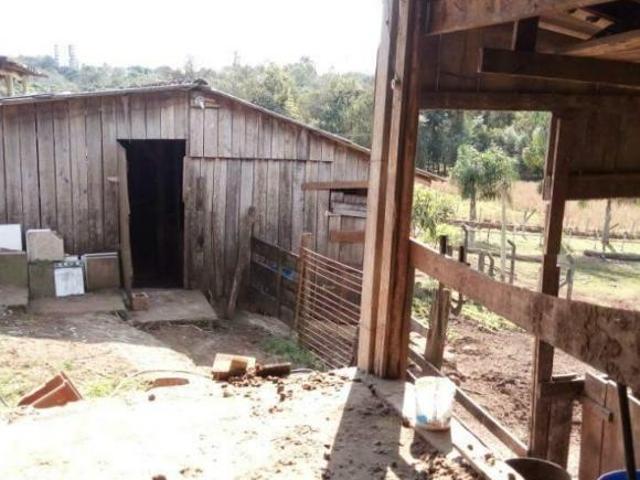 Sítio e chácara venda em Região Geográfica Imediata de Caxias do Sul, São Marcos