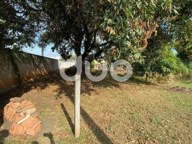 Sítio e chácara venda em Aguaí