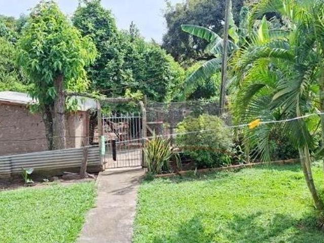 Sítio e chácara venda em Catanduva