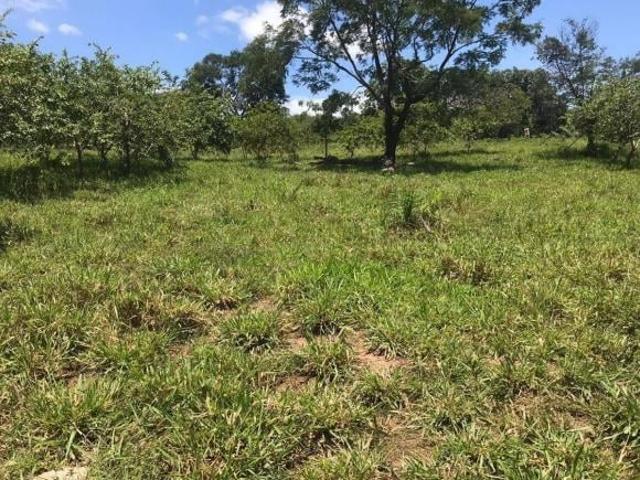 Sítio e chácara venda em Região Geográfica Imediata de Cáceres, Antônio João