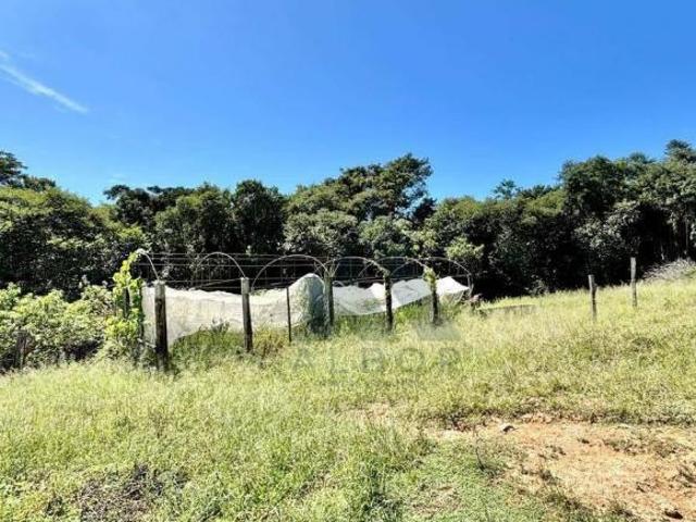 Sítio e chácara venda em Salto de Pirapora