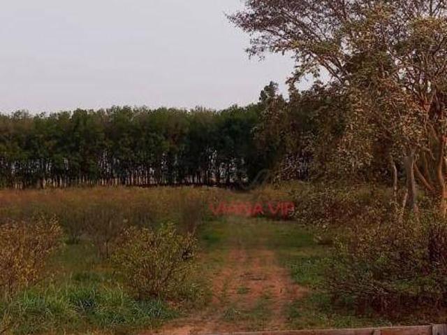 Sítio e chácara venda em Região Imediata de Dracena, Junqueirópolis