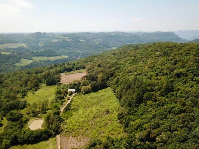 Sítio e chácara venda em Região Geográfica Imediata de Caxias do Sul, Caxias do Sul
