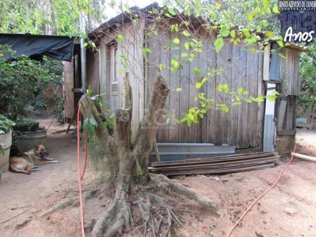 Sítio e chácara venda em Cooperativa Clara Nunes, Porto Alegre