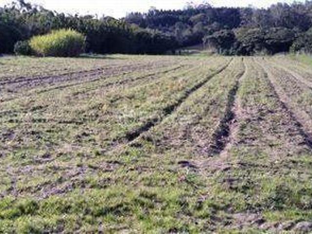 Sítio e chácara venda em Região Geográfica Imediata de Porto Alegre, Região Metropolitana de Porto Alegre