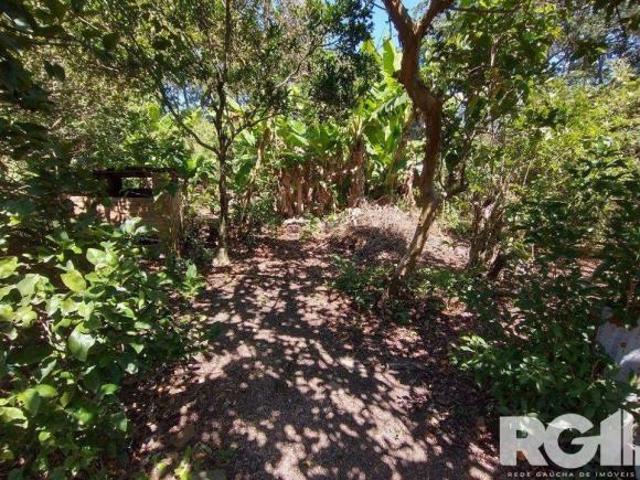 Sítio e chácara venda em Região Geográfica Imediata de Porto Alegre, Região Metropolitana de Porto Alegre