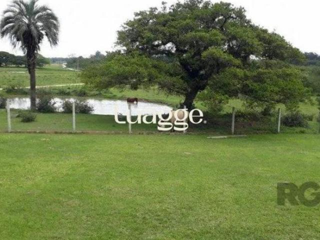 Sítio e chácara venda em Região Geográfica Imediata de Porto Alegre, Região Metropolitana de Porto Alegre
