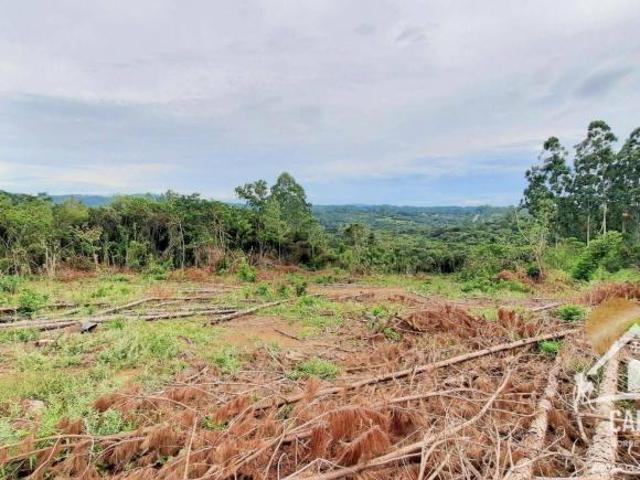Sítio e chácara venda em Região Geográfica Imediata de Porto Alegre, Região Metropolitana de Porto Alegre