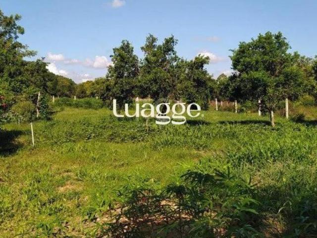 Sítio e chácara venda em Região Geográfica Imediata de Porto Alegre, Região Metropolitana de Porto Alegre