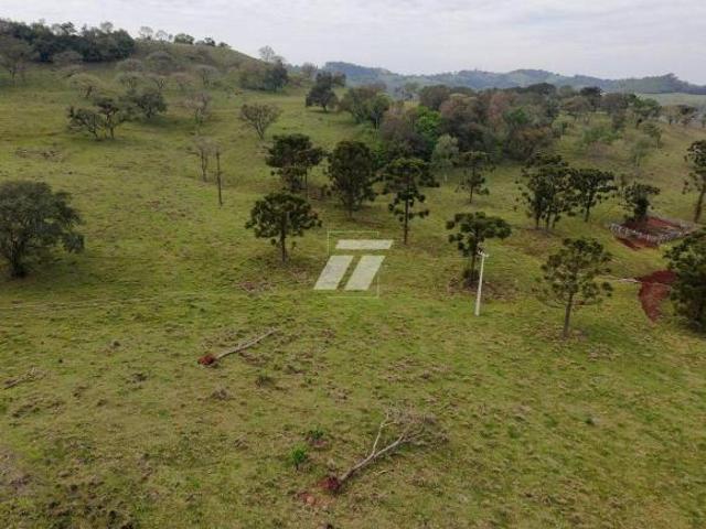 Sítio e chácara venda em Região Geográfica Imediata de Cascavel, Lindoeste