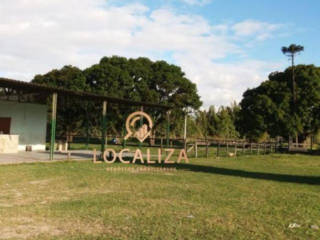 Sítio e chácara venda em Tremembé