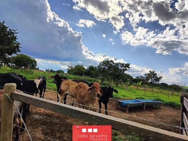 Sítio e chácara venda em Região Geográfica Imediata de Luziânia, Região Integrada de Desenvolvimento do Distrito Federal e Entorno