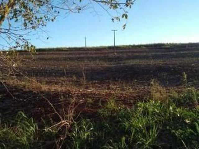 Sítio e chácara venda em Região Geográfica Imediata de Maringá, Mandaguaçu