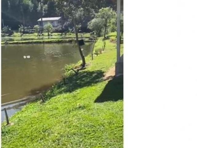 Sítio e chácara venda em Região Geográfica Imediata de Curitiba, Região Metropolitana de Curitiba