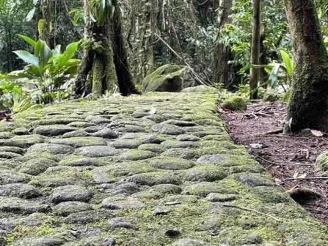 Sítio e chácara venda em Região Imediata de Caraguatatuba-Ubatuba-São Sebastião, Região Metropolitana do Vale do Paraíba e Litoral Norte