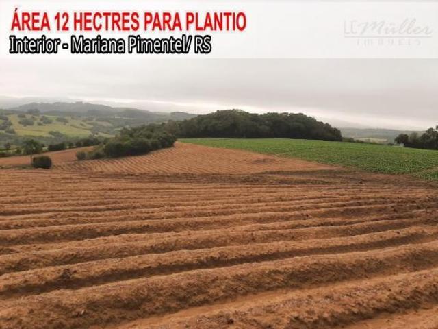 Sítio e chácara venda em Mariana Pimentel