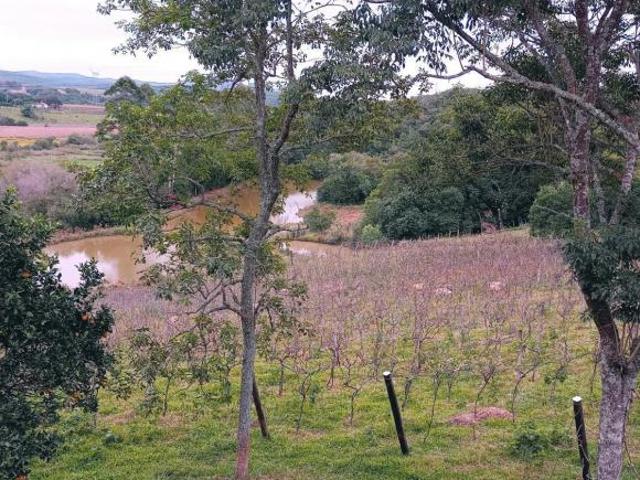 Sítio e chácara venda em Região Geográfica Imediata de Porto Alegre, Mariana Pimentel